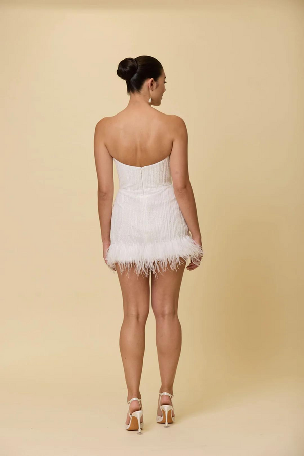 Sample Scarlett Mini