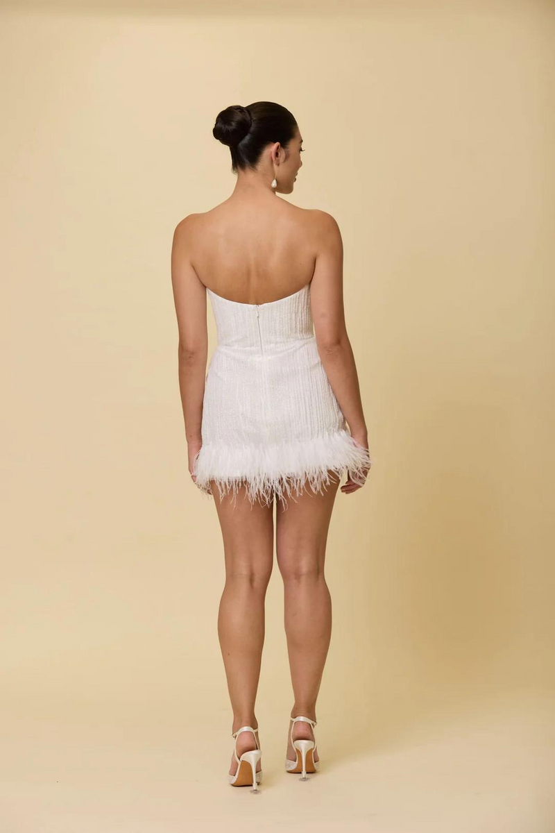 Sample Scarlett Mini